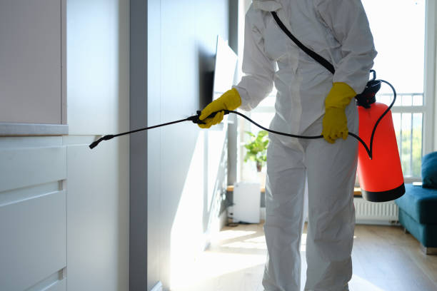 Best Toxic Mold Removal  in Harrisville, WV